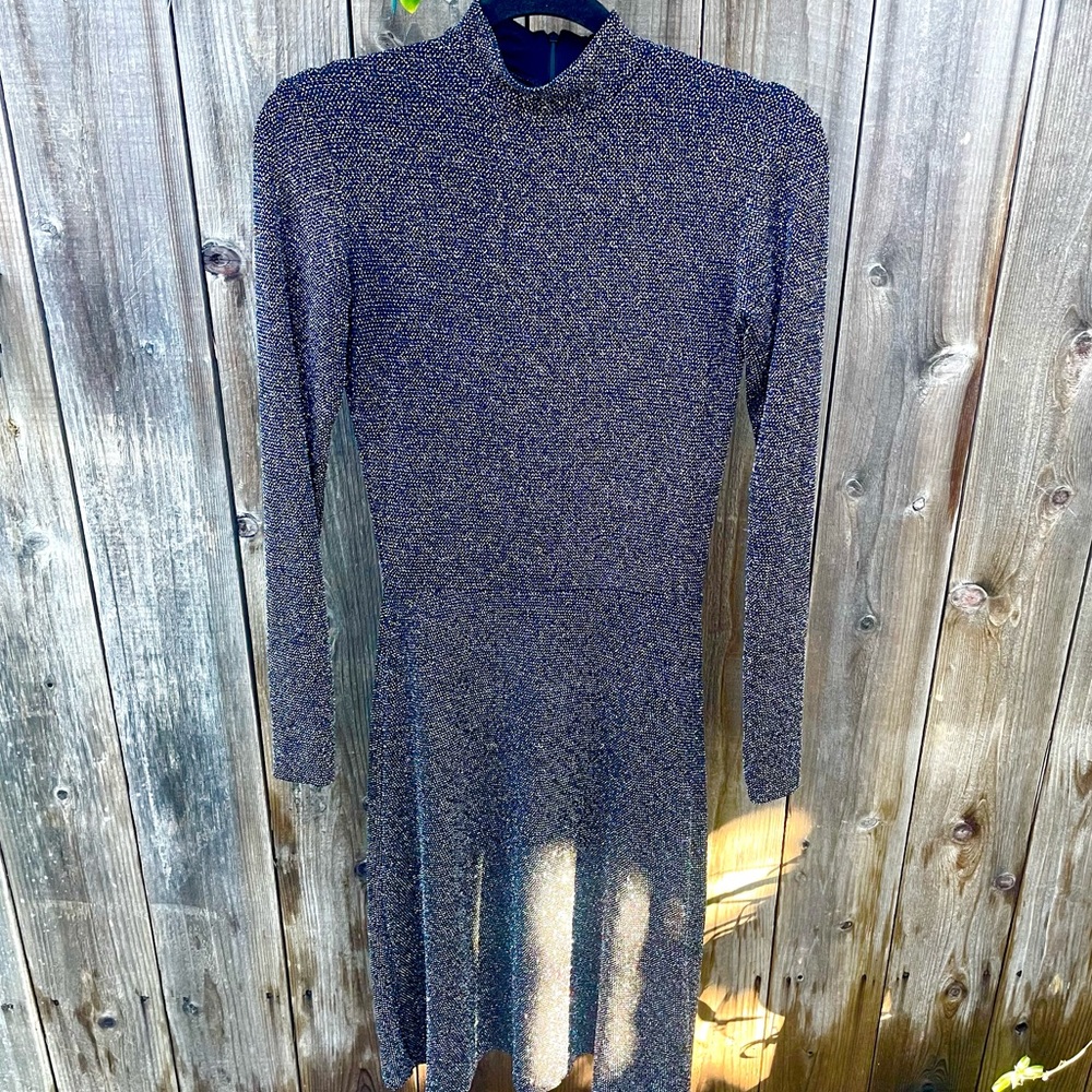Zara Knit Sparkly Dress